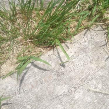 ALBERTS Alida Susanna nee JOUBERT 1820-1894