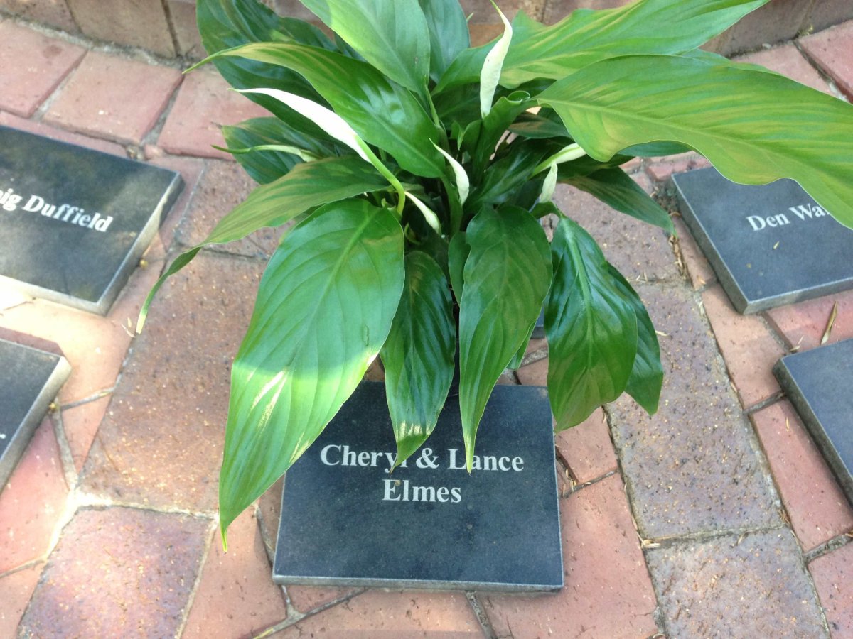 ELMES Cheryl :: ELMES Lance