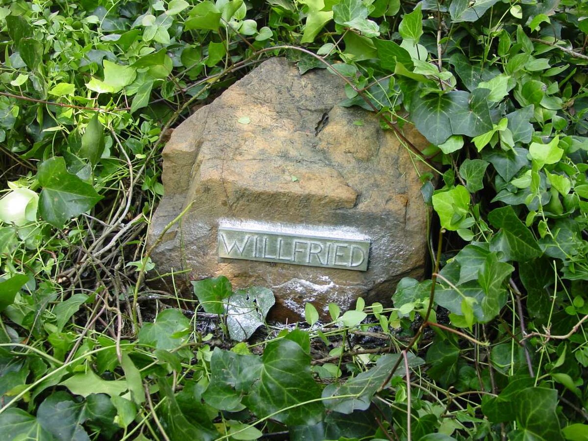 WILLFRIED