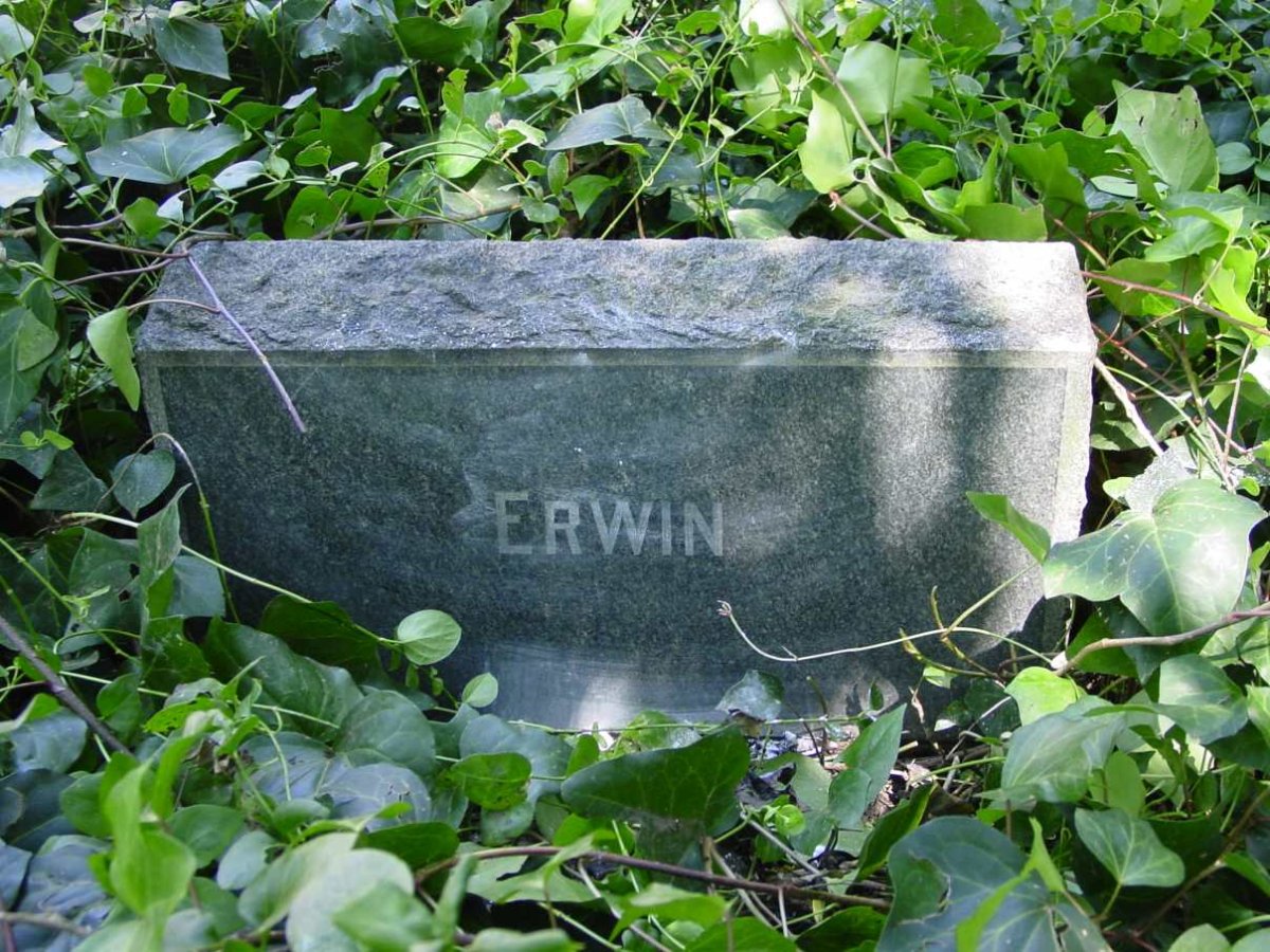 ERWIN
