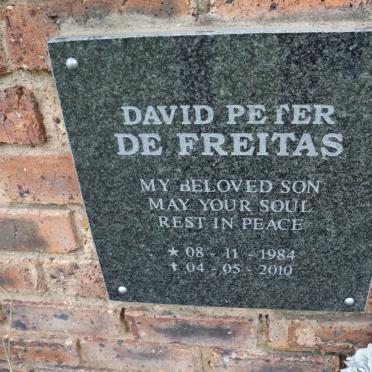 FREITAS David Peter, de 1984-2010