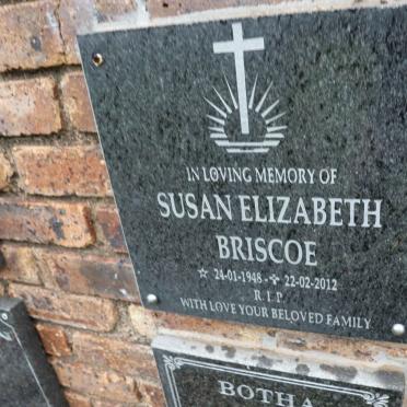 BRISCOE Susan Elizabeth 1948-2012