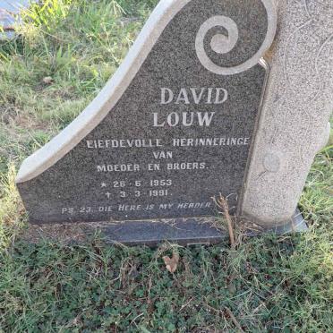 ? David Louw 1953-1991