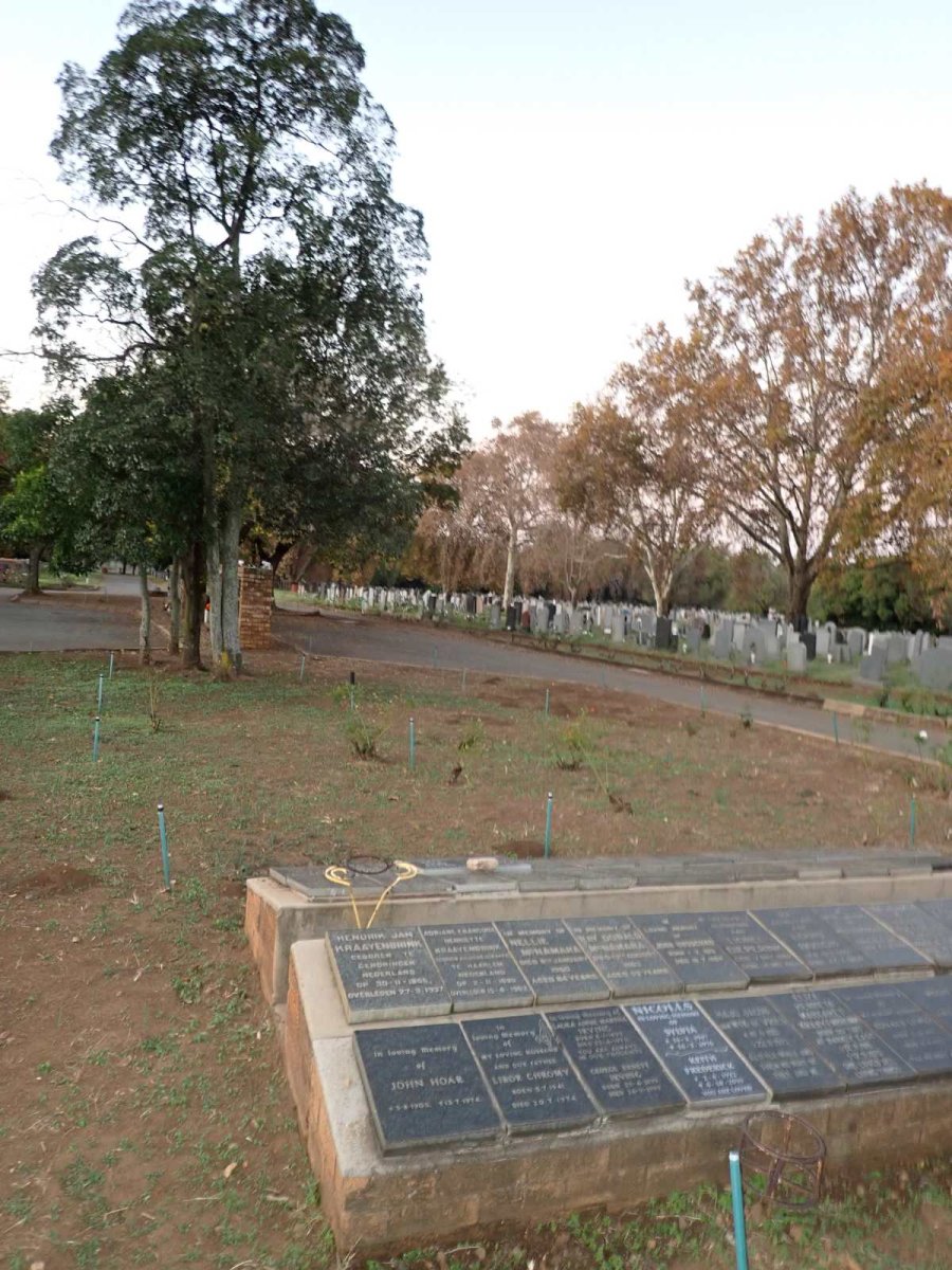 2. Overview / Oorsig