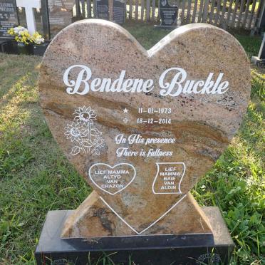 BUCKLE Bendene 1973-2014