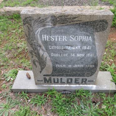 MULDER Hester Sophia 1941-1941