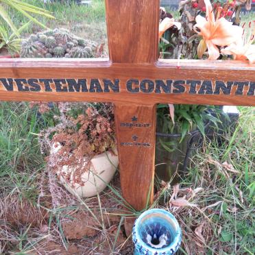 VESTAMAN Constantin 1950-2022