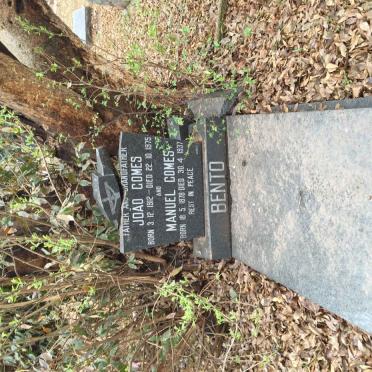 BENTO Manuel Gomes 1878-1937 :: BENTO João Gomes 1912-1975