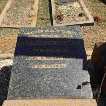 BODENSTEIN Maria Cornelia 1858-1924