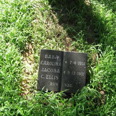 ELLIS Carolina Jacoba C. 1931-1931