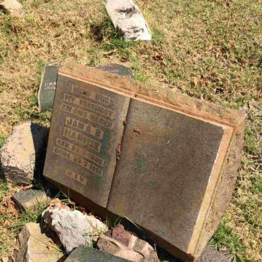 HARMSE Jan A.B. 1886-1951