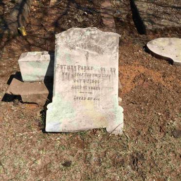 HOWARD Esther Parker  -1905