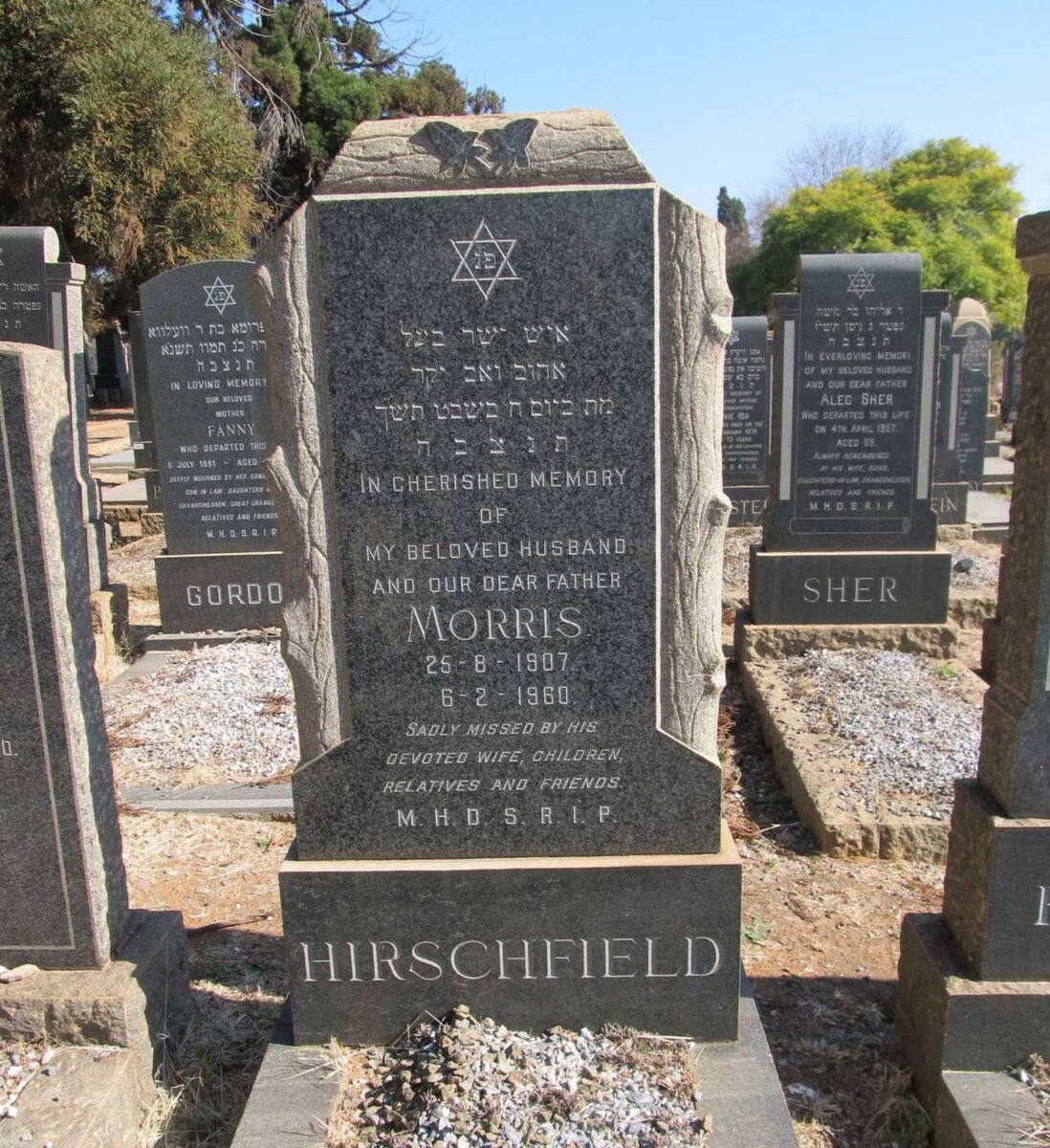 HIRSCHFIELD Morris 1907-1960