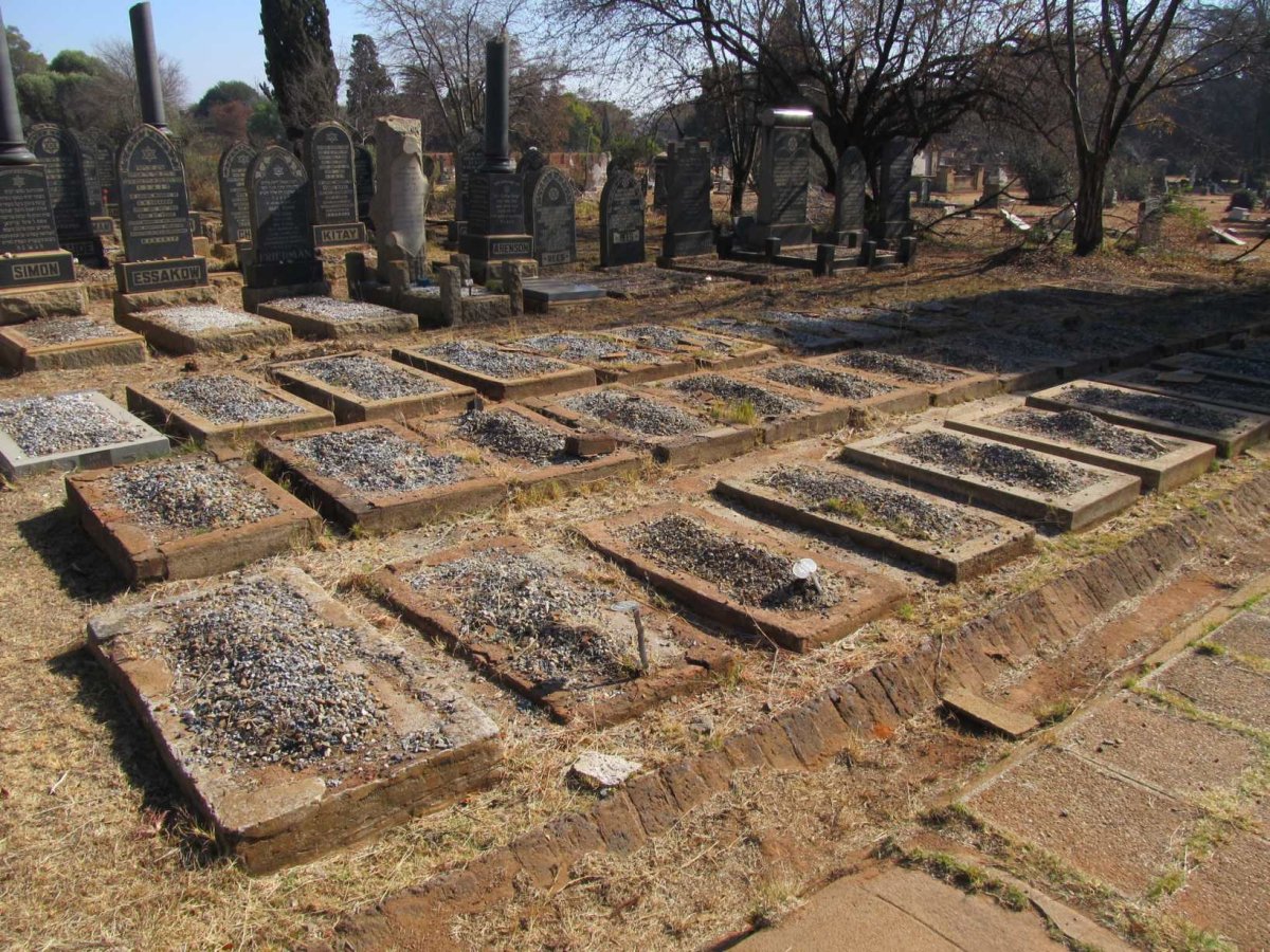 4. Overview / Oorsig