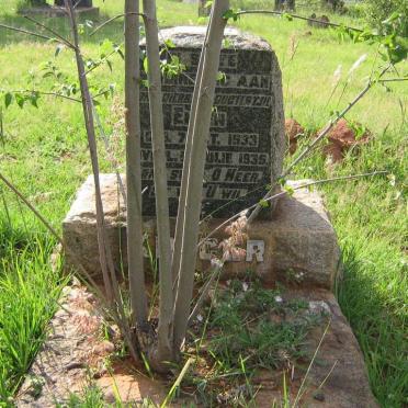 KRUGER Ellen 1933-1935