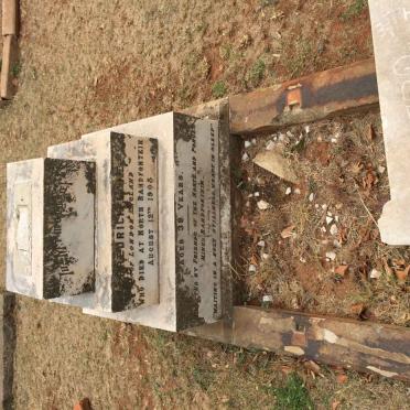 LAKE Frederick -1908