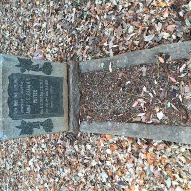 P - Vanne :: Surnames - P