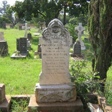 TIEDT Frederick A.C. 1884-1913 :: TIEDT Helena H.W. 1899-1901 :: TIEDT Isabela E.  1906-1913