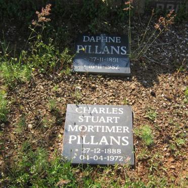 PILLANS Charles Stuart Mortimer 1888-1972 &amp; Daphne 1891-1982