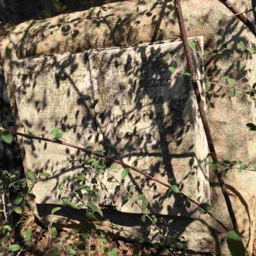 WASSERMAN Hercules Petrus -1931 &amp; Johanna S. 1889-1966