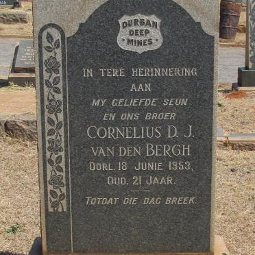 BERGH Cornelius D.J., van den -1953
