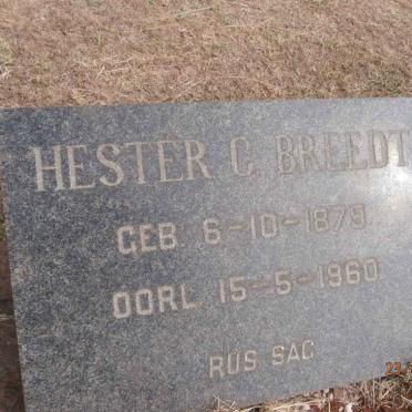 BREEDT Hester C. 1879-1960