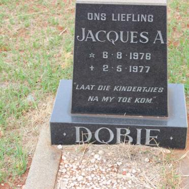 DOBIE Jacques A. 1976-1977