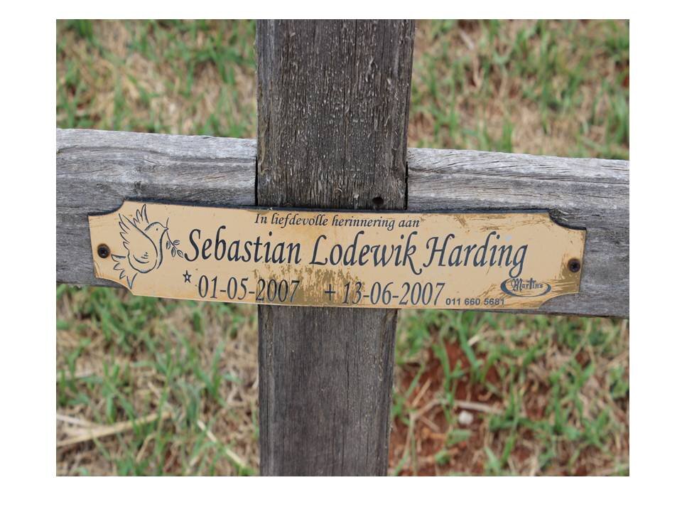 HARDING Sebastian Lodewik 2007-2007