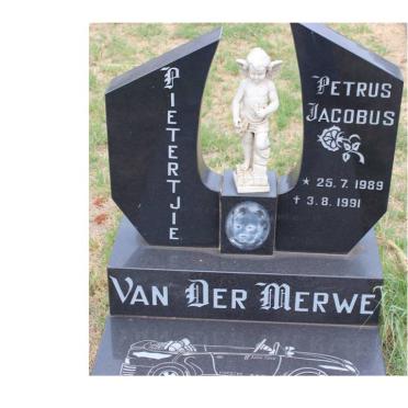 MERWE Petrus Jacobus, van der 1989-1991