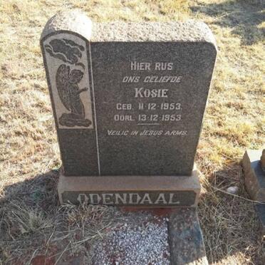 ODENDAAL Kosie 1953-1953