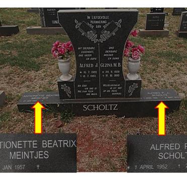 SCHOLTZ Alfred J. 1928-1983 &amp; Gezina M.B. 1929-2013