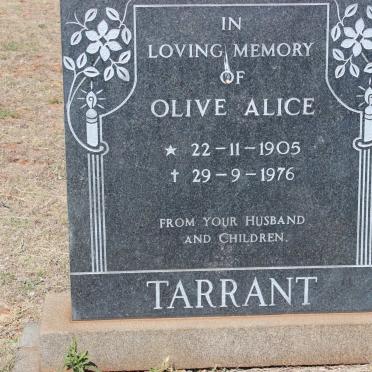 Ta - Surnames starting with the letters Ta