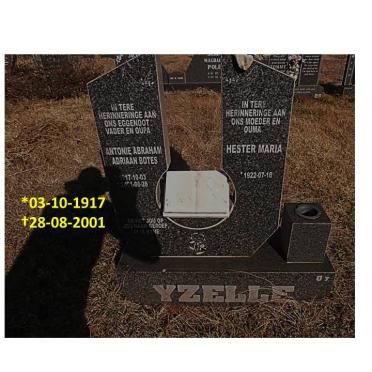 Y - Surnames :: Vanne - Y