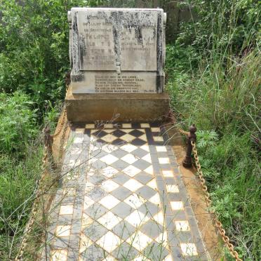 OPPERMAN Philippus Albertus 1861-1939