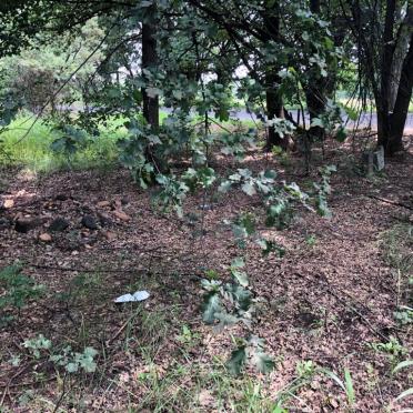 Gauteng, KRUGERSDORP district, Kromdraai, Kromdraai 520_7, farm cemetery