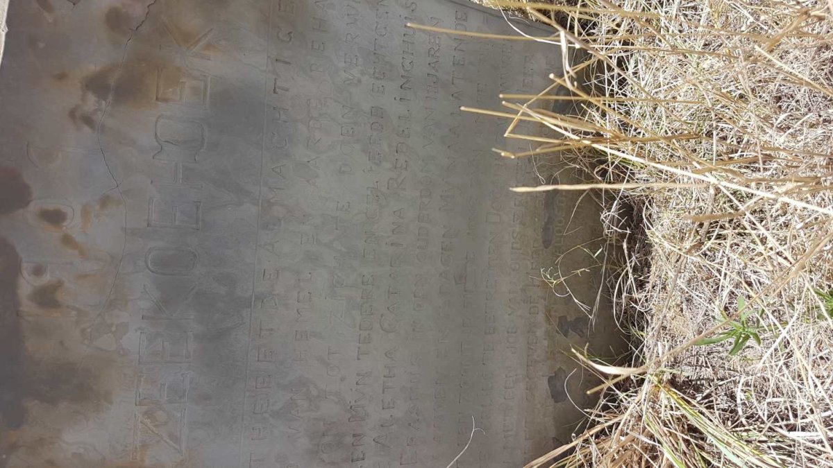 REDELINGHUYS Aletta Catharina nee ERASMUS 1891-1909