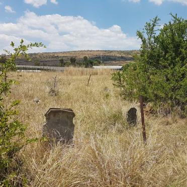 1. Overview / Oorsig