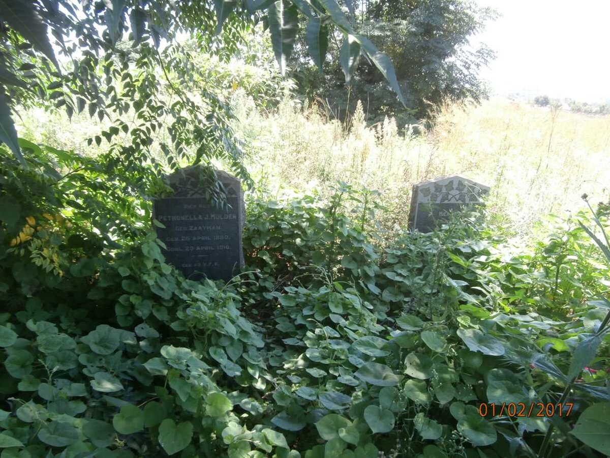 3. Overview / Oorsig