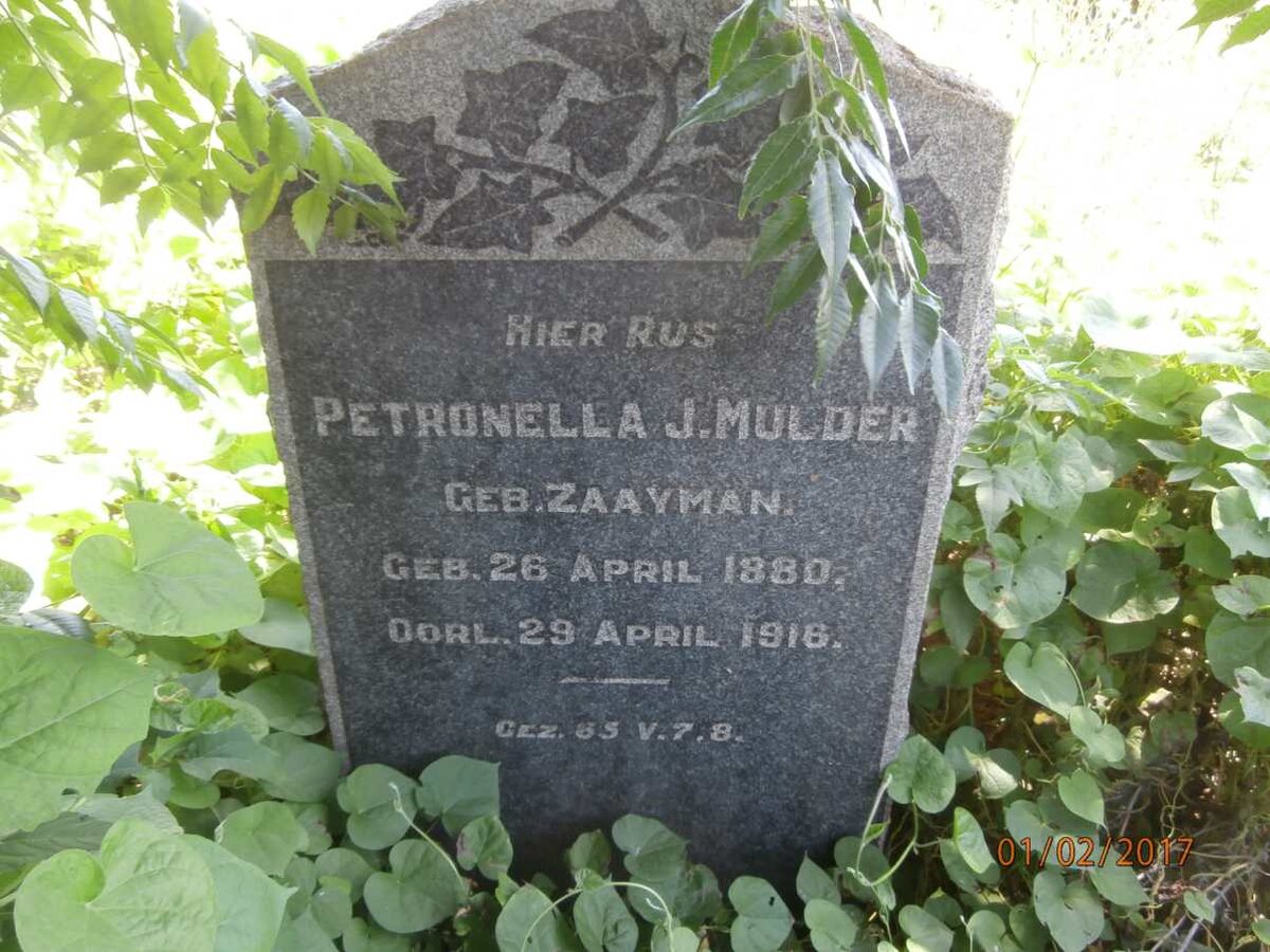 MULDER Petronella J. nee ZAAYMAN 1880-1916