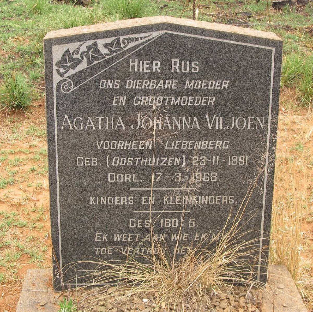 VILJOEN Agatha Johanna, formerly LIEBENBERG, nee OOSTHUIZEN 1891-1968