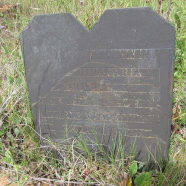 GROENEWALD ?uida Maria Magarieta 1908-1908