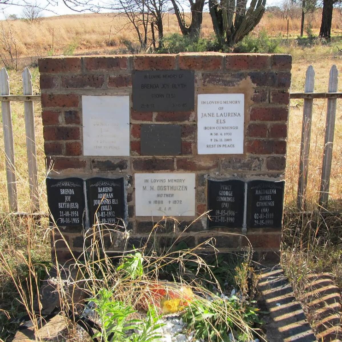 CUMMINGS :: ELS ::  BLYTH :: OOSTHUIZEN