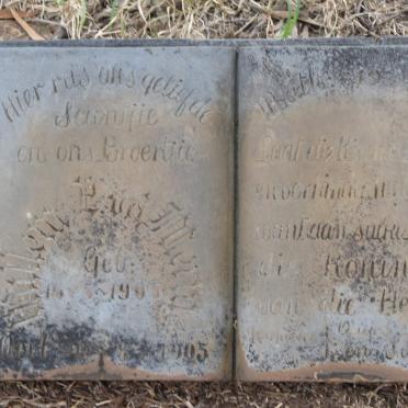 MERWE Willem P., v.d. 1905-1905