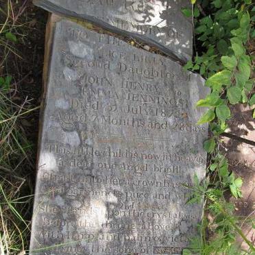 JENNINGS Alice Lilly -1876