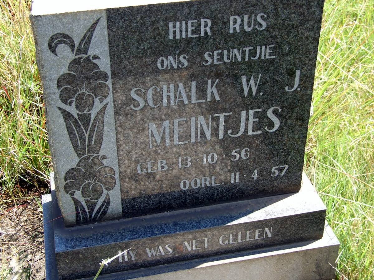 MEINTJES Schalk W.J. 1956-1957