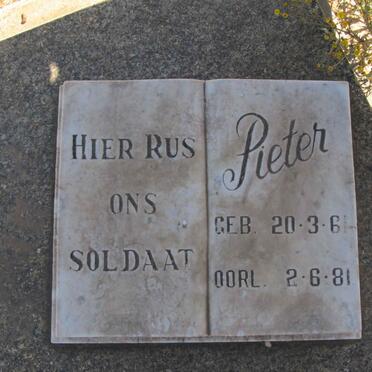 TAYLOR Pieter 1961-1981