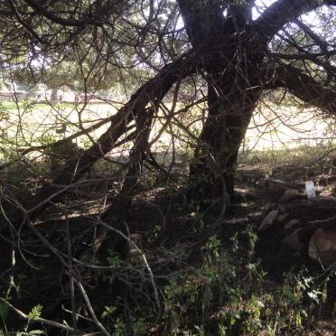 3. Oorsig / Overview