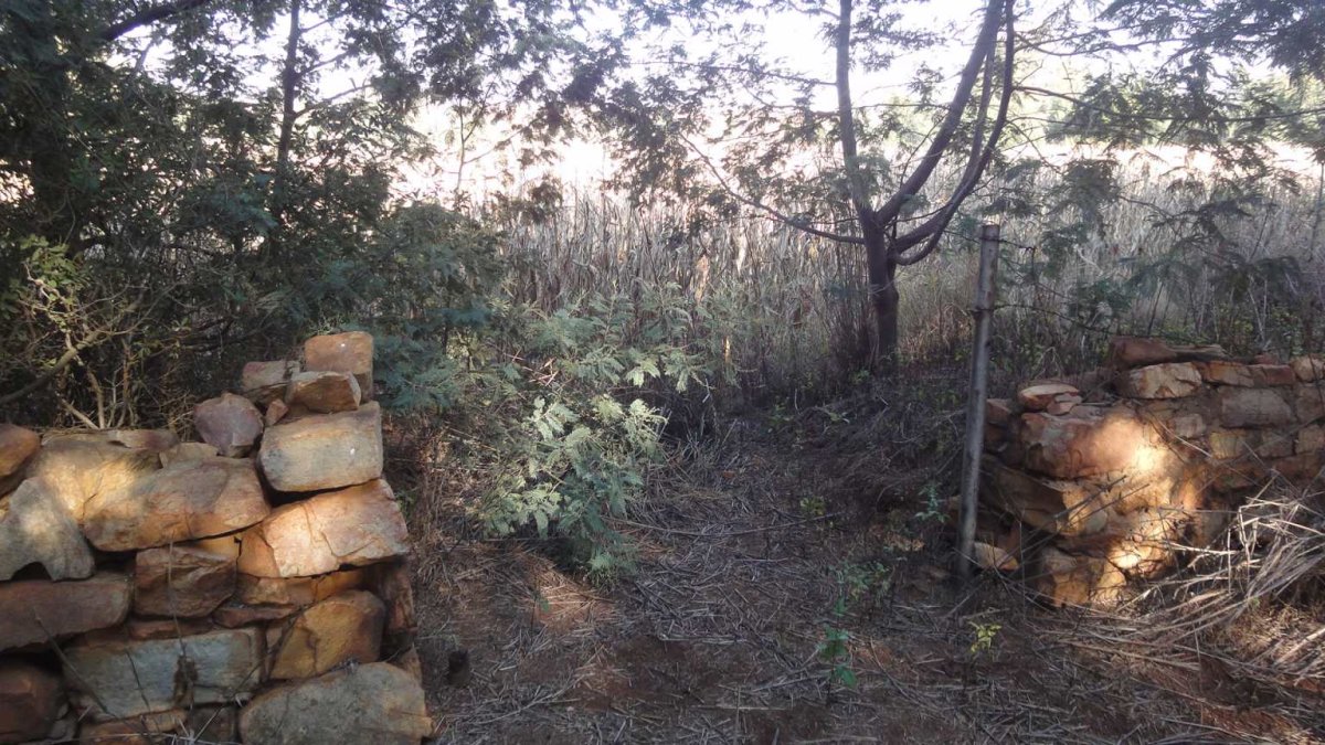 2. Oorsig / Overview - Ingang/Entrance