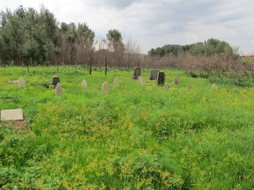 1. Overview / Oorsig