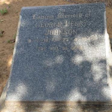 JOHNSON George Henry 1877-1948